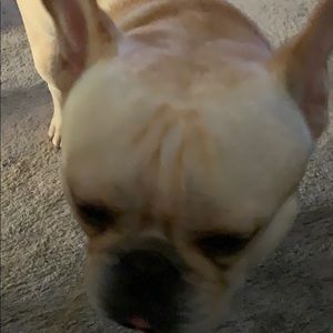 Meet your Posher, Chad